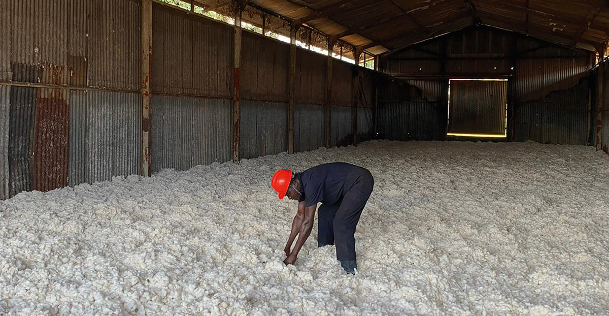 Baumwollernter Lagerhalle Uganda